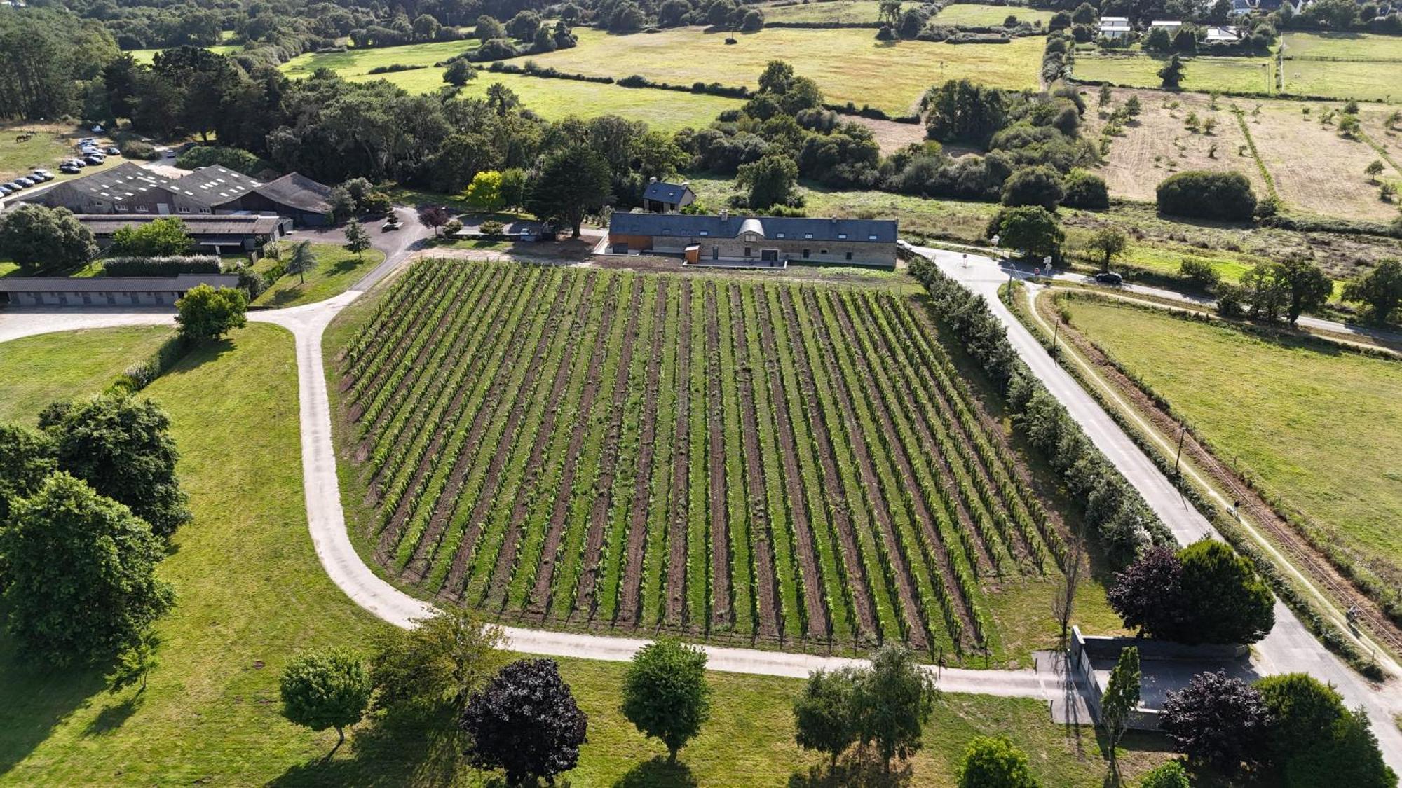 Gite -L'Appart- Au Vignoble Domaine Lamballe, Baden, Golfe Du Morbihan Exterior foto